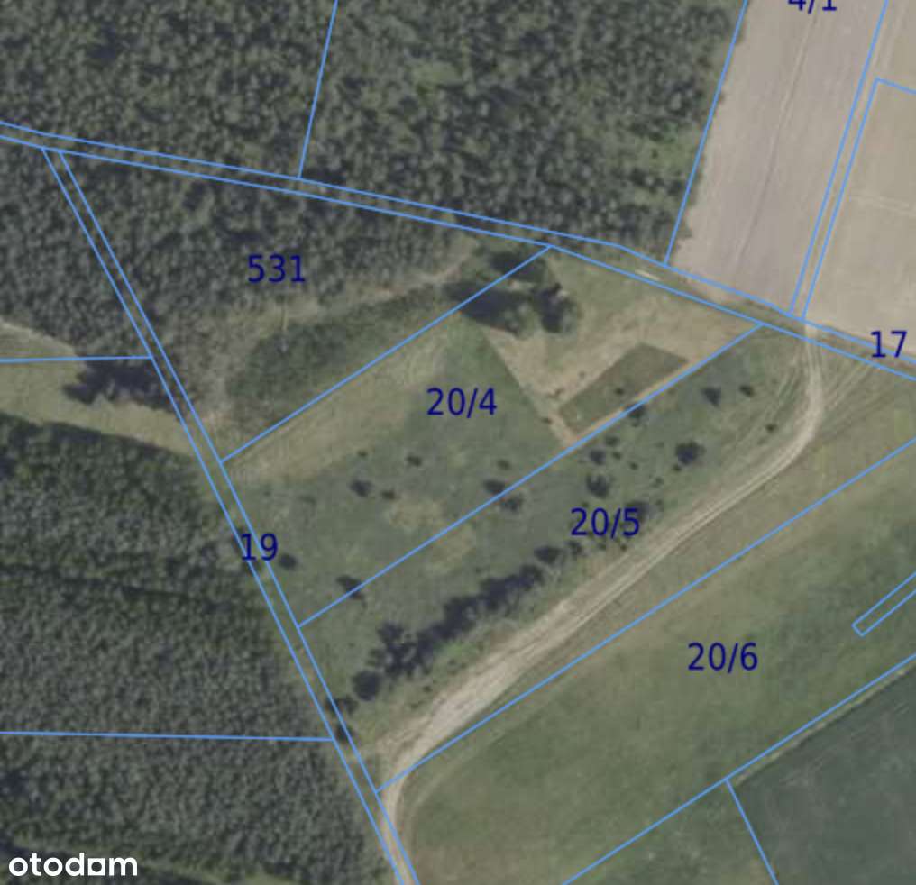 Działka rolna przy lesie  9893 m², Postolin k. Milicza-8