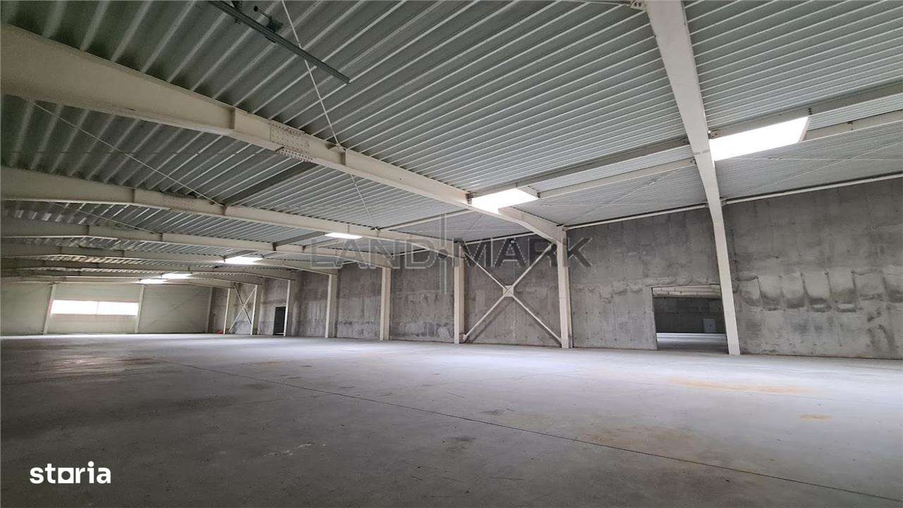 Hala productie de vanzare Timisoara - Exterior Nord-2