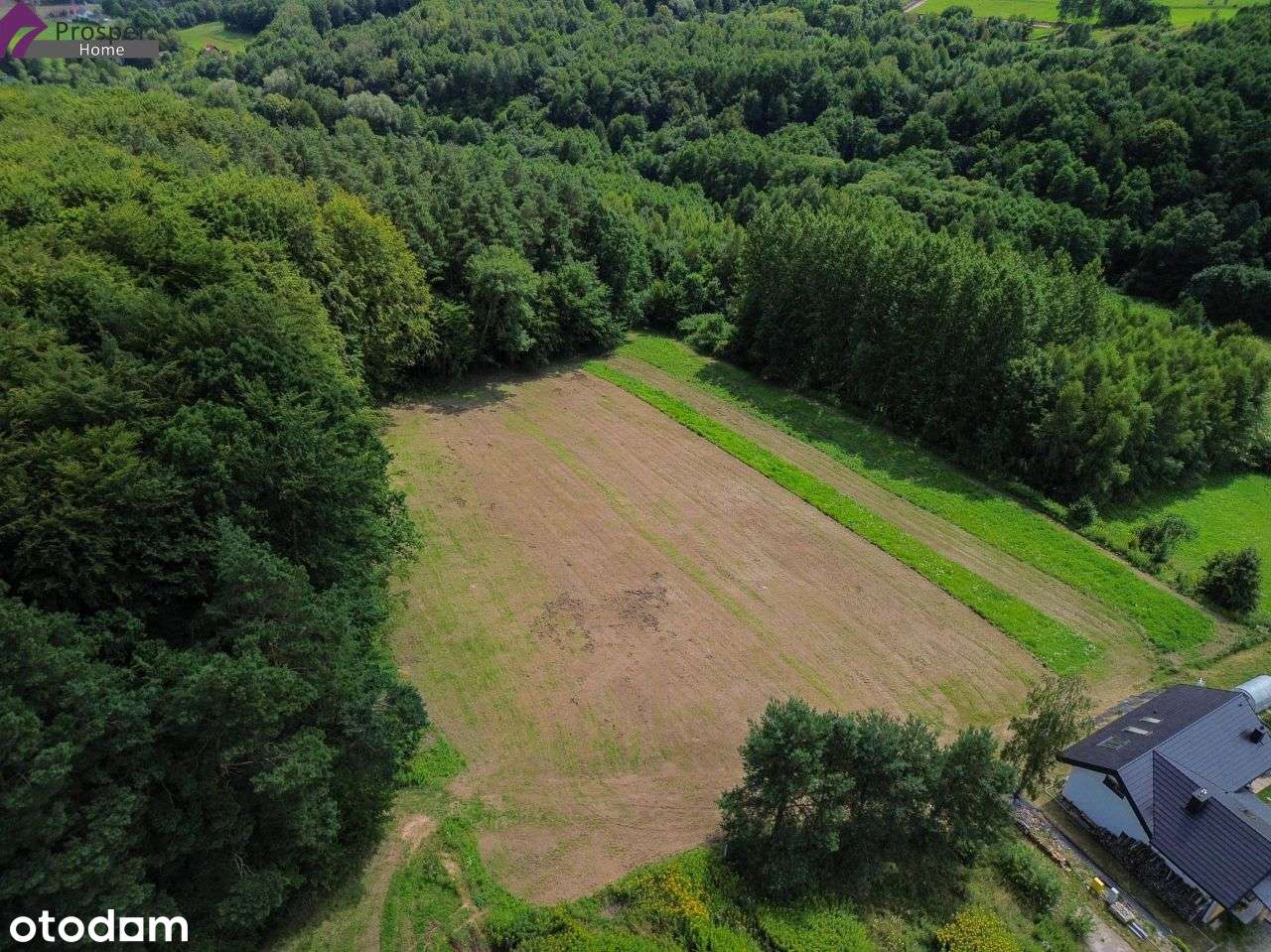 Piękna działka przy lesie 86a | Wz| Blisko Rzeszów - Pełny obrazek: 5/10