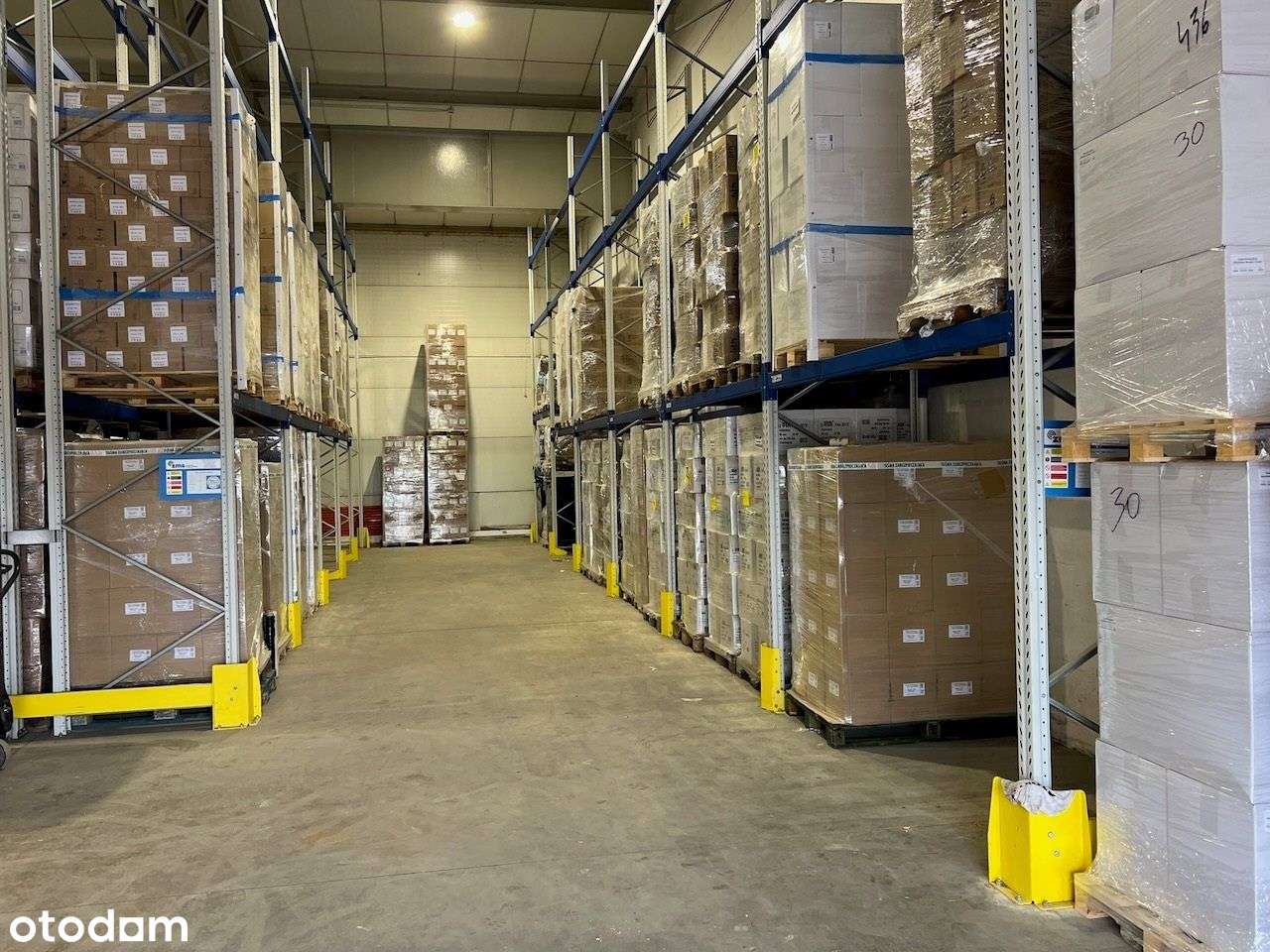 Atrakcyjna Hala blisko Aow - Pełny obrazek: 4/10