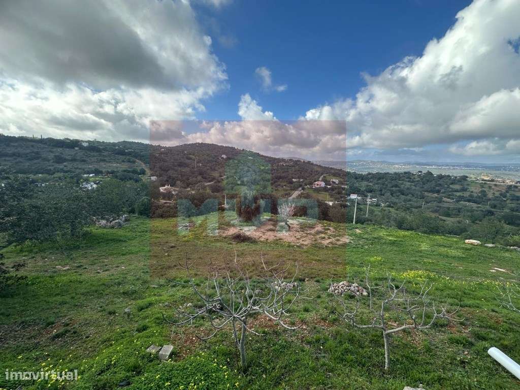 Moradia T2 em Estoi - Grande imagem: 3/41