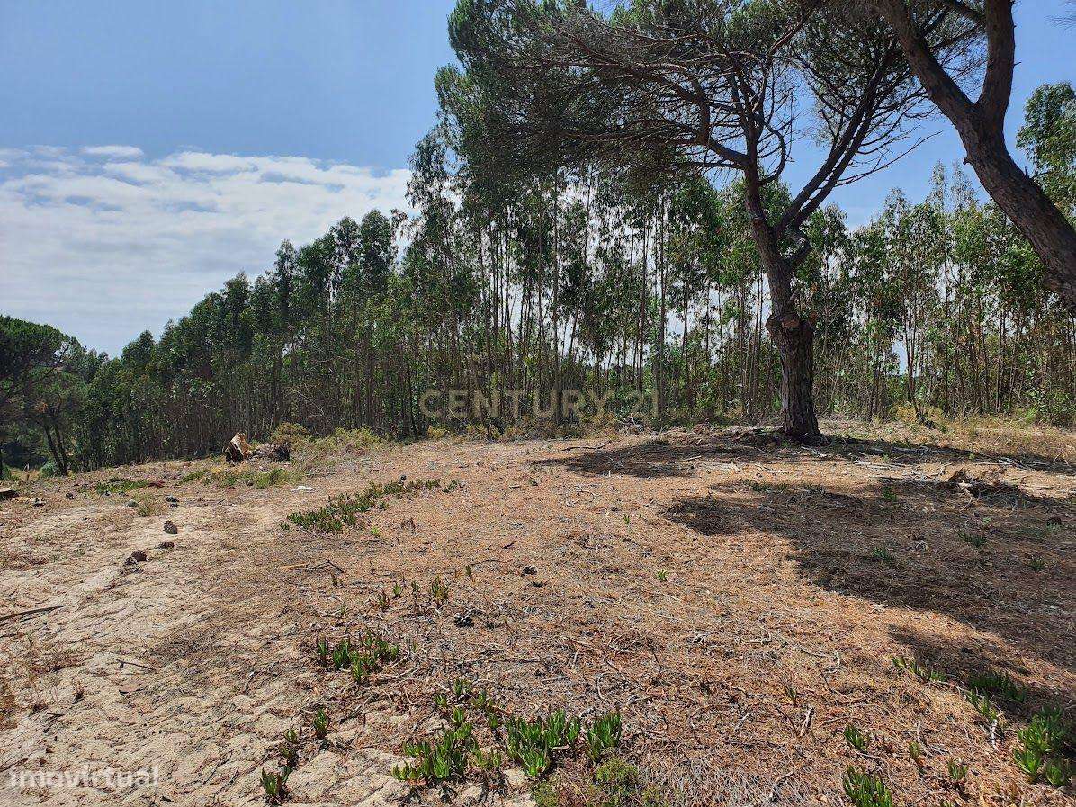 Terreno Rústico em Aiana de Cima - Sesimbra-1
