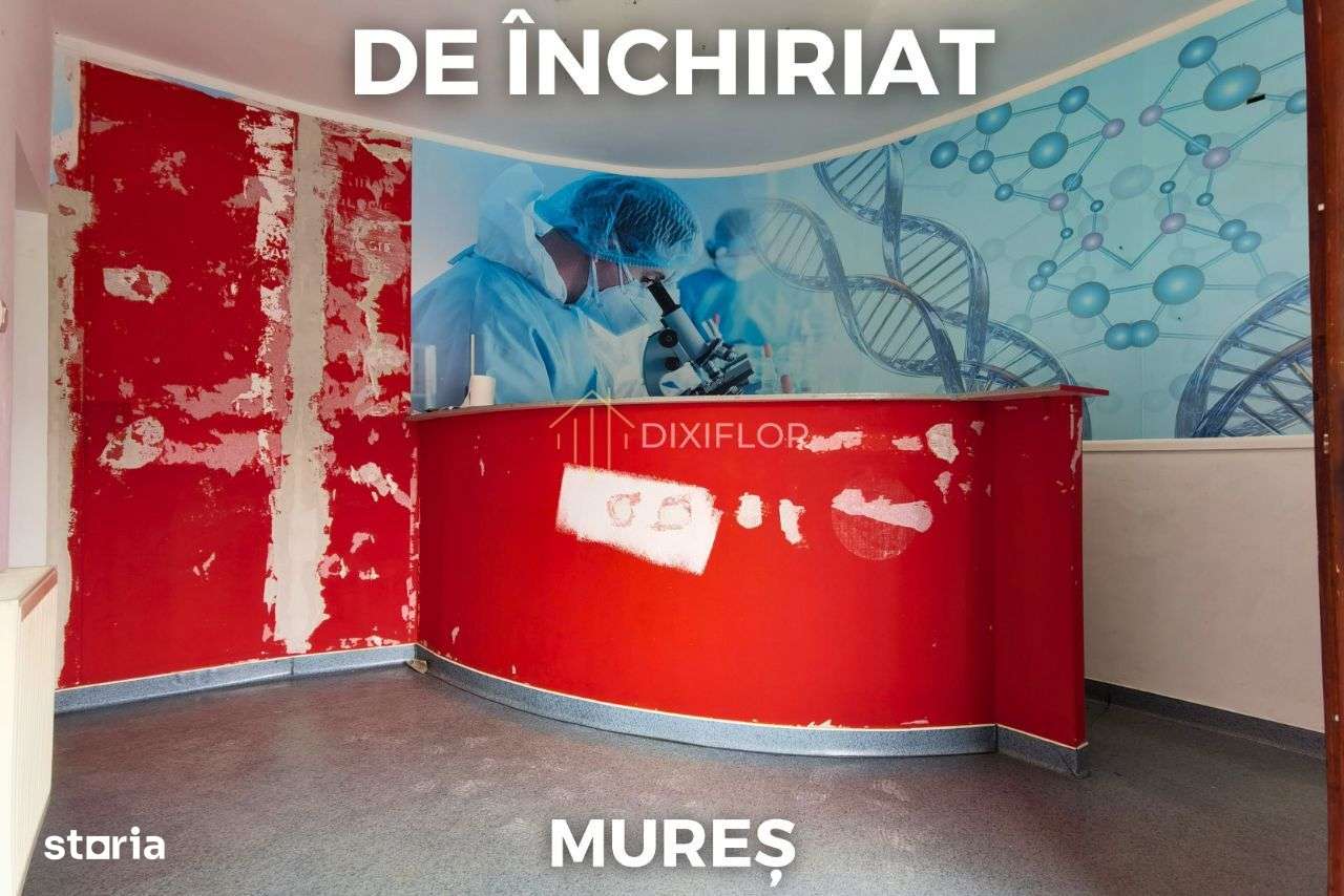 Spațiu comercial de închiriat | str. Lalelelor, Tudor | 400 € - Imagine principală: 1/9