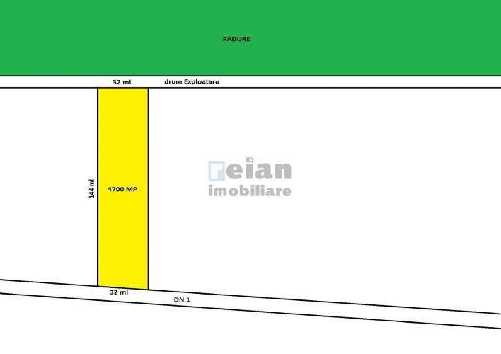 Tancabesti Stradal Dn1 Intravilan 4700mp, Dubla Deschidere 32/32 Ml - Imagine principală: 1/6