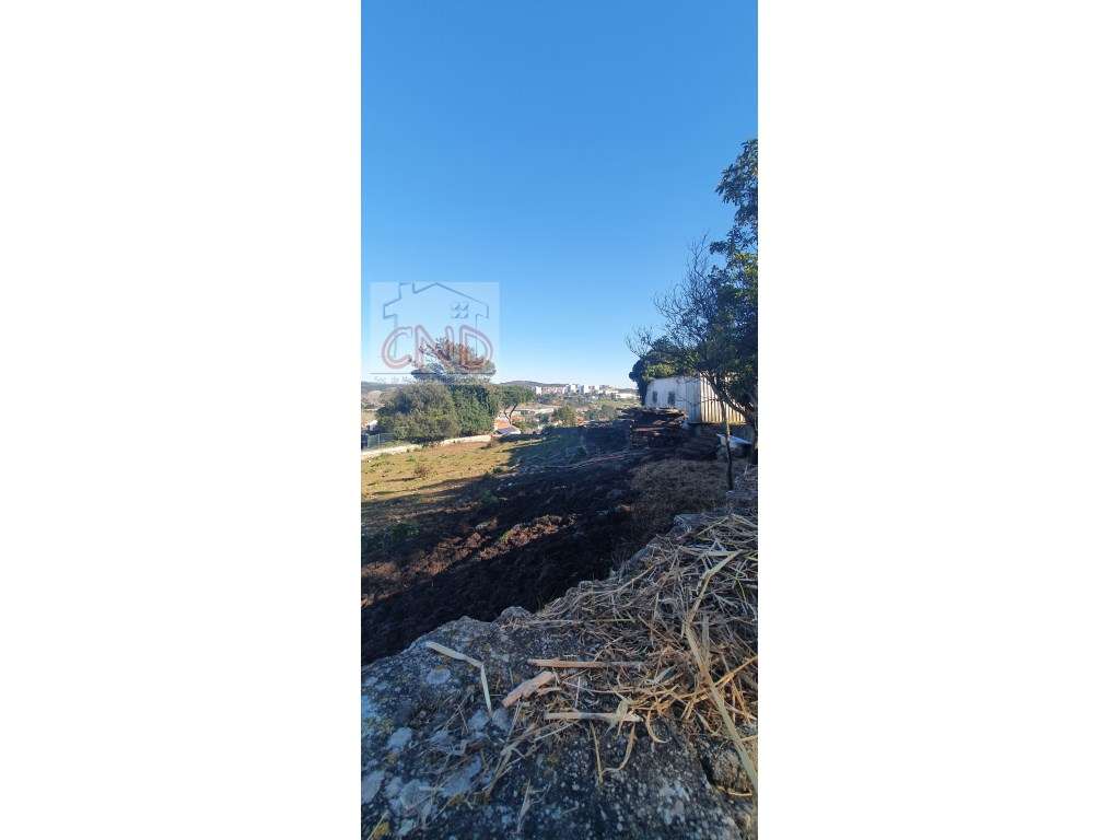 RINCHOA, terreno 4.000 m2, para venda - Grande imagem: 5/6