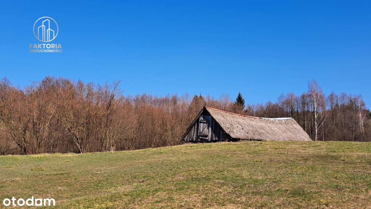 Duża działka w dobrej cenie - Pełny obrazek: 4/8