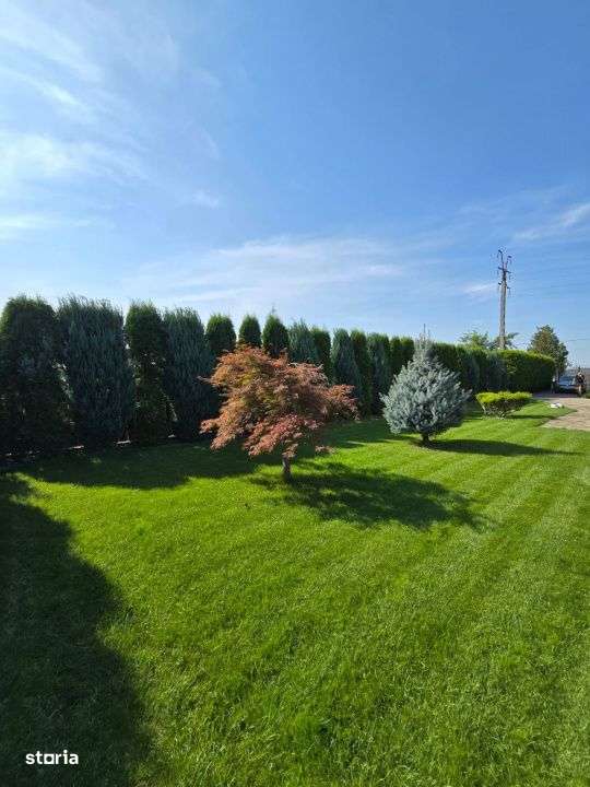 Casa de Vis, Serbanesti - Imagine principală: 5/19