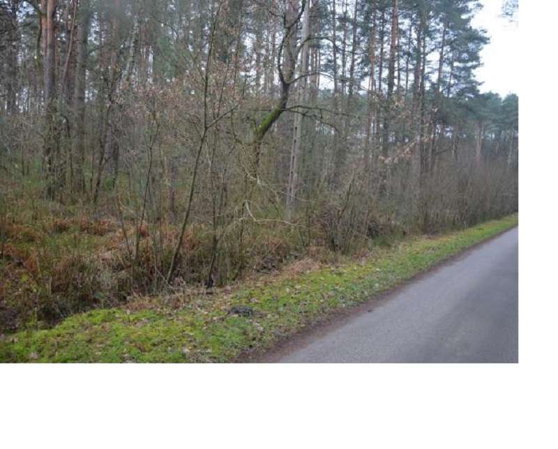 Działka 7100 m2, , Bartniki,  gm. Puszcza Mariańska, woj. mazowieckie - Pełny obrazek: 4/10
