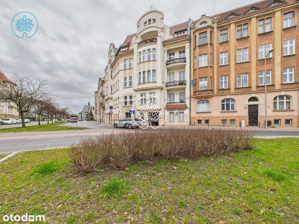 najem? biznes? start up? swoje 113m w d.muzycznej? - Pełny obrazek: 1/8