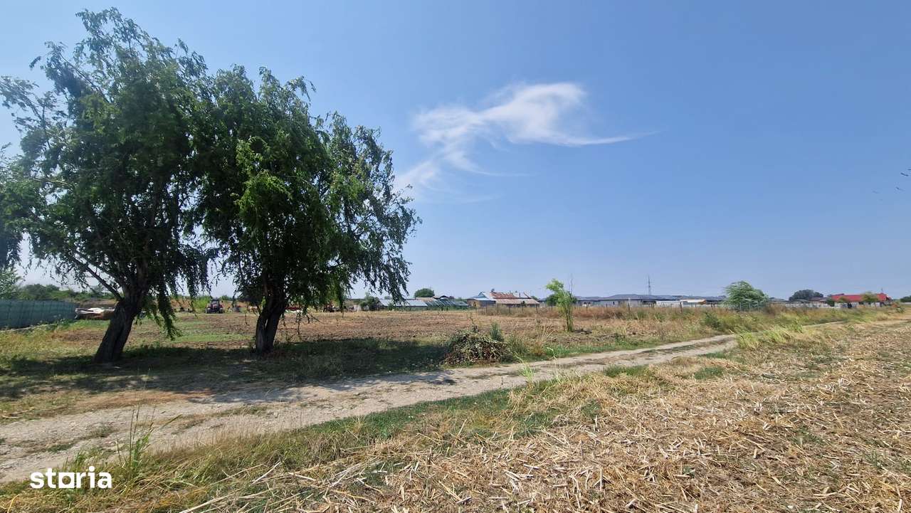 550 mp situat in COMUNA 1 DECEMBRIE, ILFOV-3