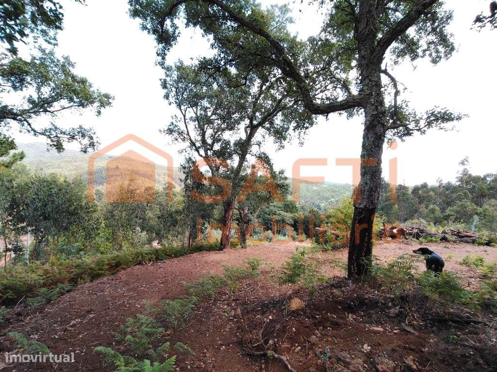 TERRENO RECATADO COM POSSIBILIDADE DE CONSTRUÇÃO. - Grande imagem: 4/55