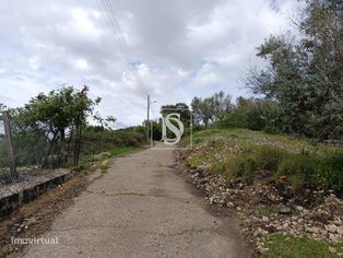 Quintinha no Alentejo - Grande imagem: 3/34