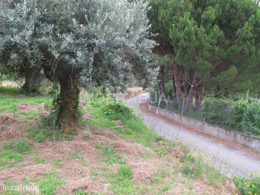 Moradia para recuperar-5