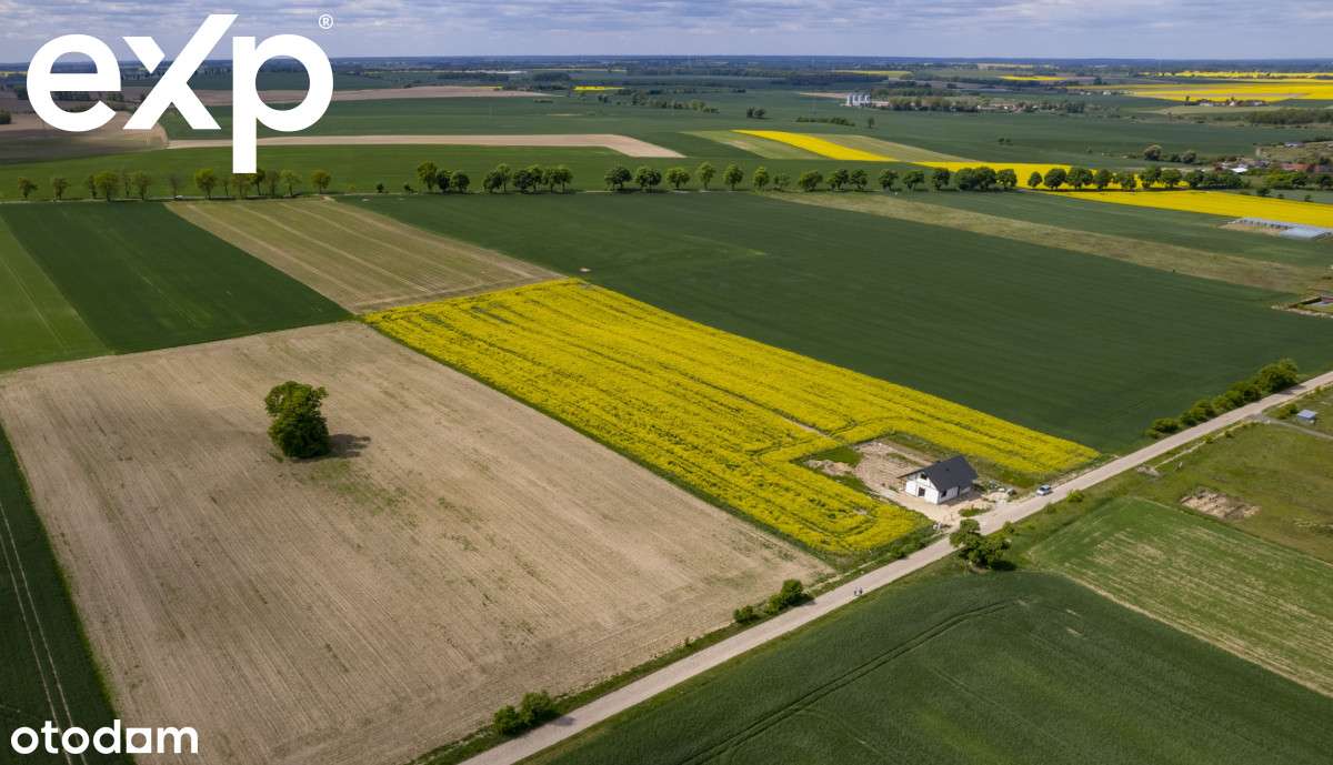 Zamieszkaj w raju i pomóż olimpijce. Działka - Pełny obrazek: 5/5
