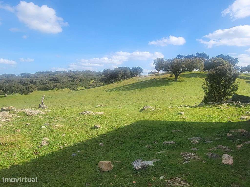 Herdade com108 ha e Monte para reconstruir Com 245 m2 - Grande imagem: 3/35