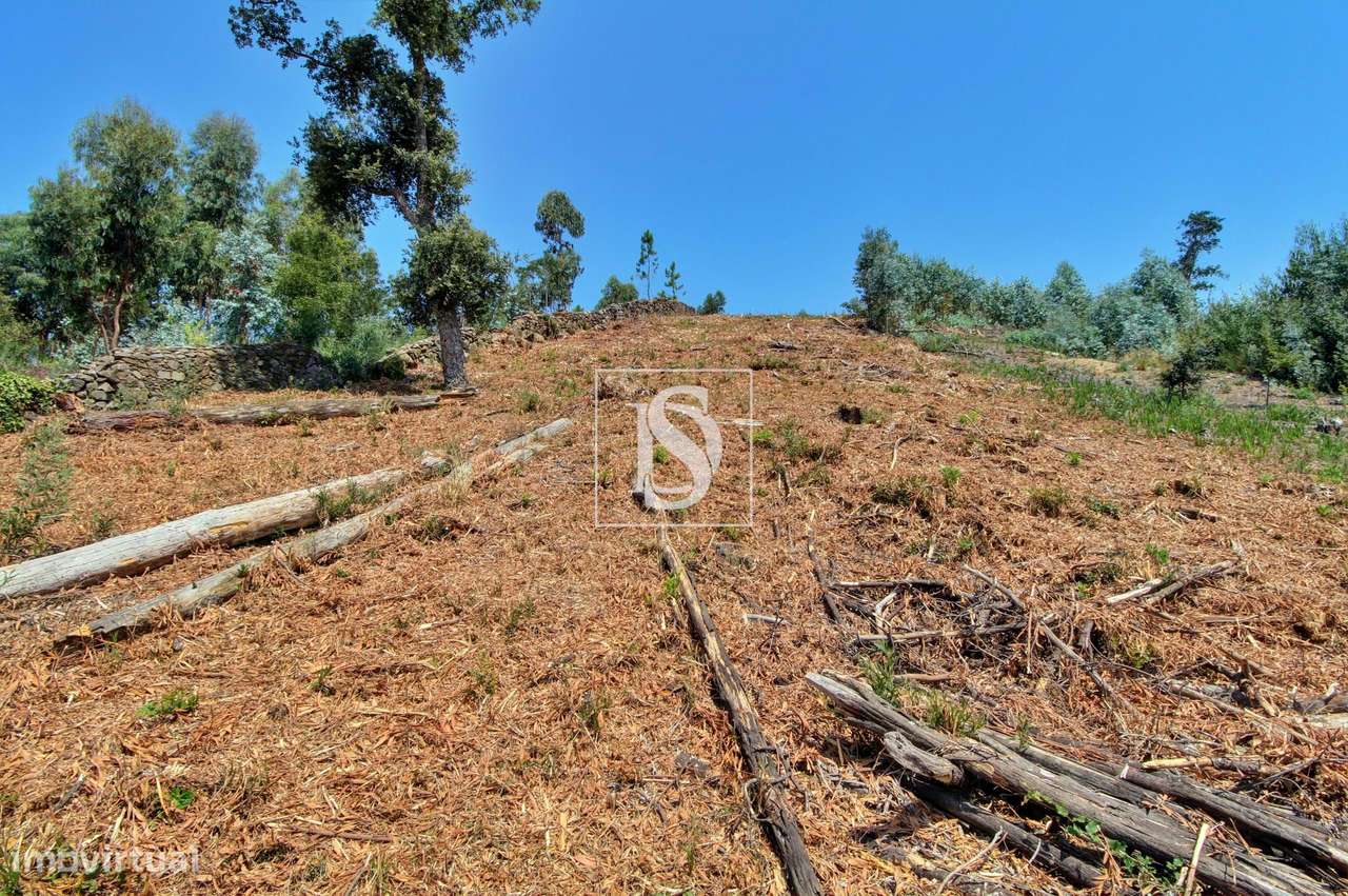 Terreno p/construção – Meadela – Viana do Castelo - Grande imagem: 4/11