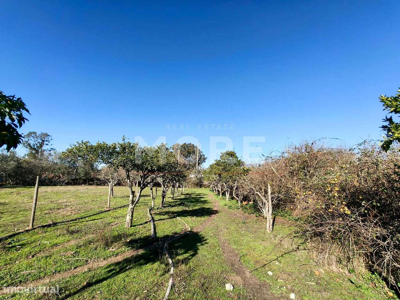 Terreno com 9500 m² – Évora-6