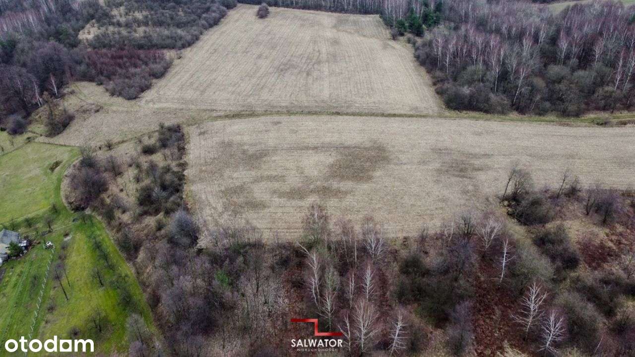Działka rolna 25 ar Zalas gm. Krzeszowice - Pełny obrazek: 4/16