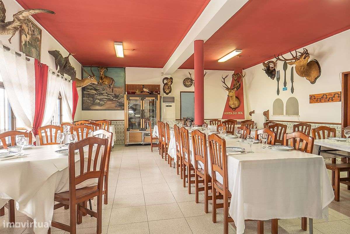 Investimentos T15 para venda - Grande imagem: 5/50