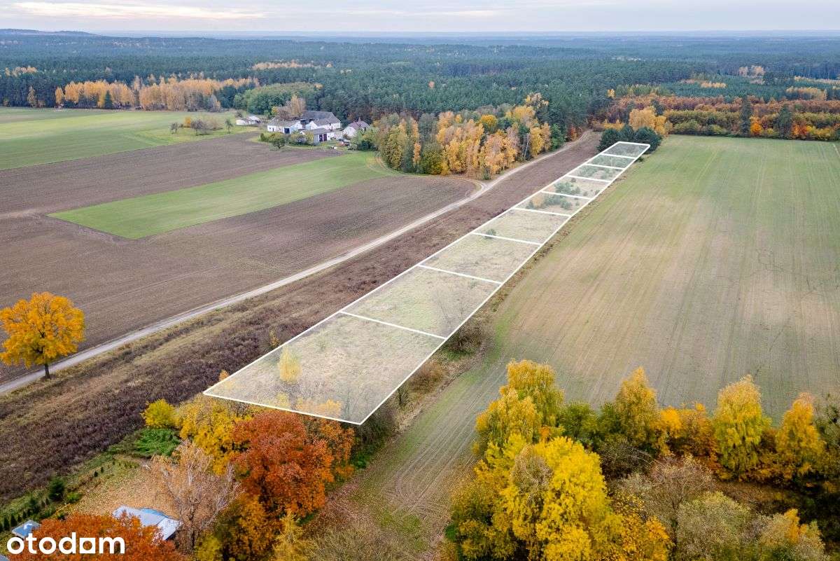 Działka budowlana bezpośrednio przy lesie - Pełny obrazek: 4/9