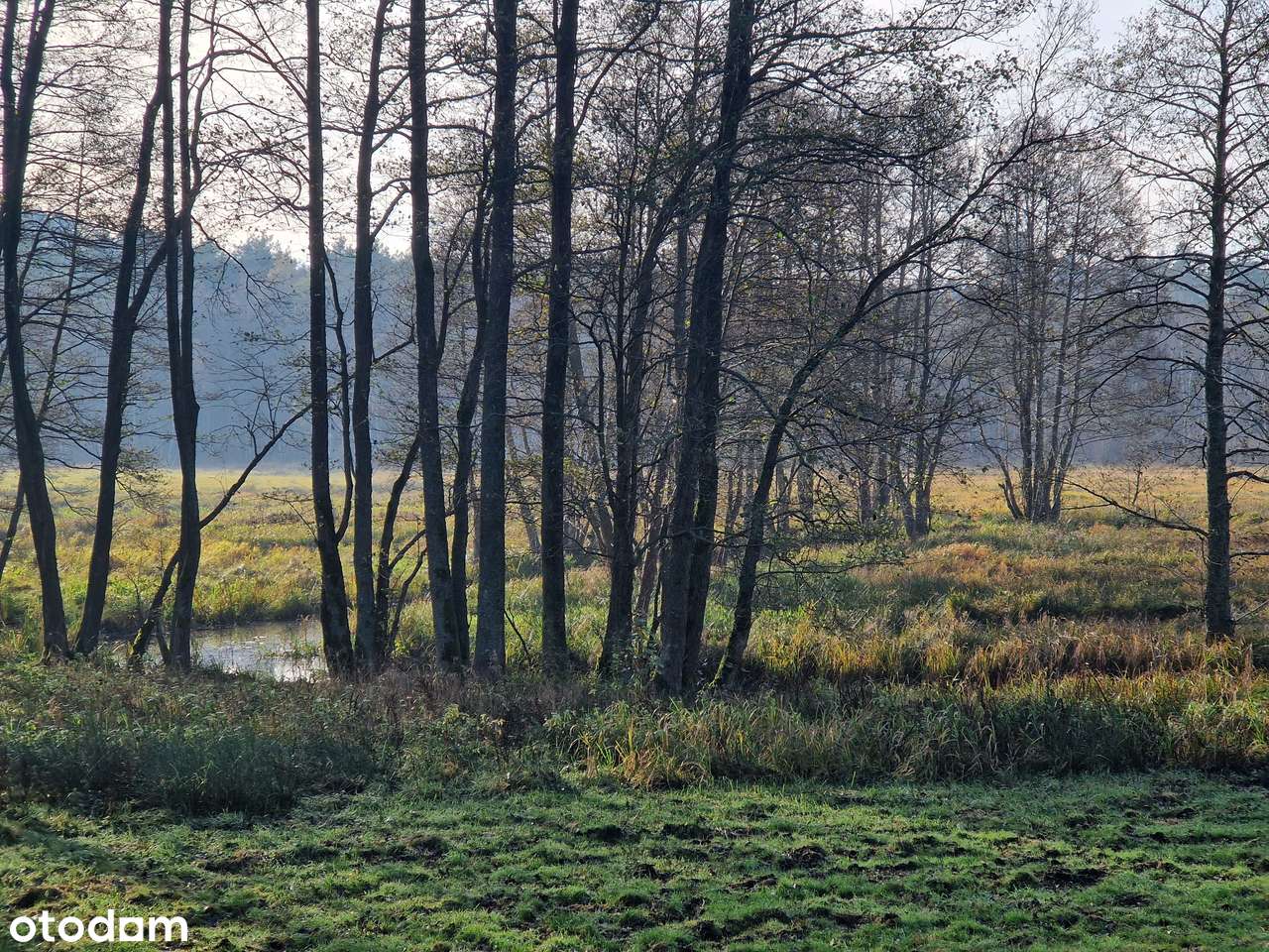 Działka na Kaszubach lasy, rzeka Zbrzyca, lasy, lokalizacja-5