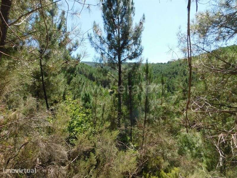 Terreno / Fundão, Enxabarda - Grande imagem: 2/2