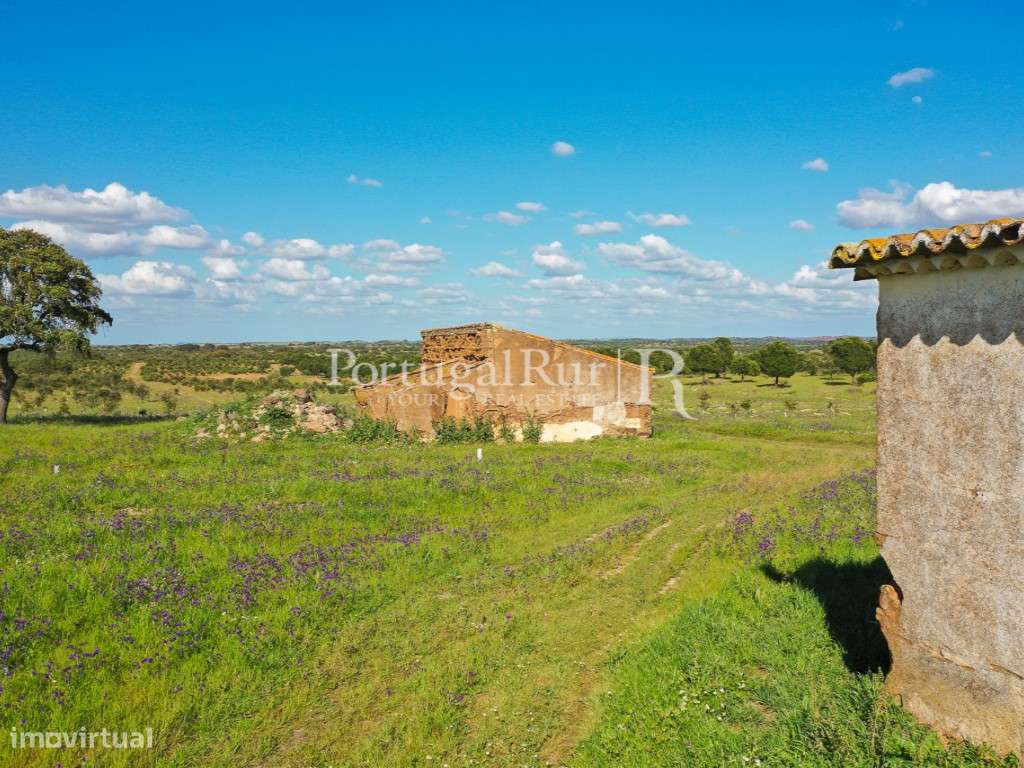 Herdades de Caça com 1300 Hectares, junto do rio Guadiana-44