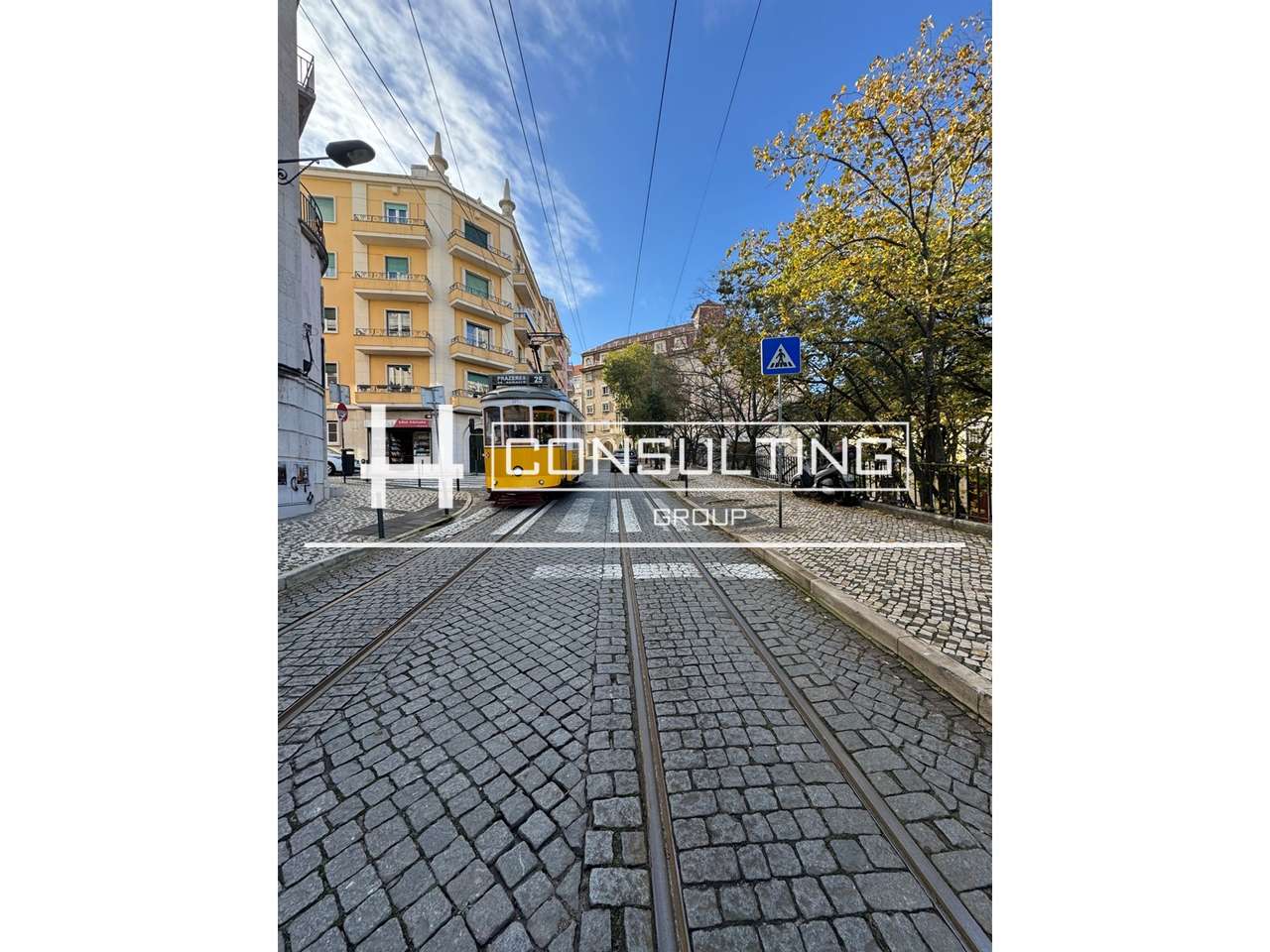 Loja  Venda em Estrela,Lisboa-15