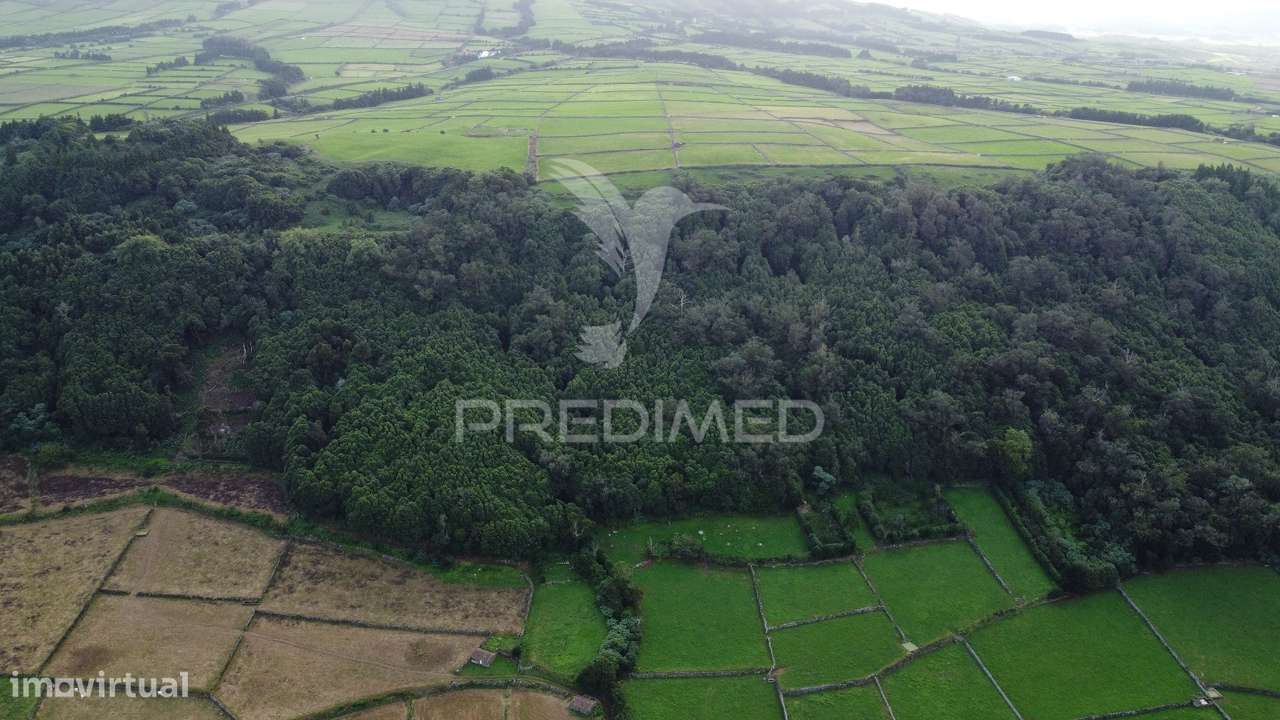 Mata com 968m2 - Grande imagem: 4/11