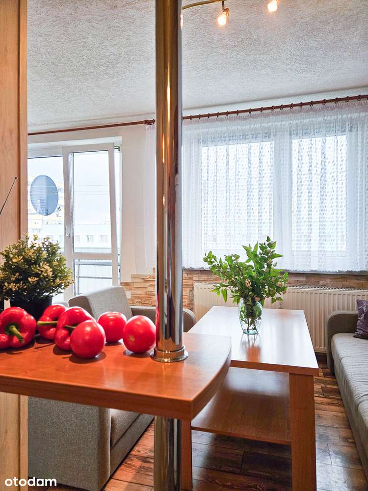 3 duze pokoje z balkonem, park Cegielnia!-1