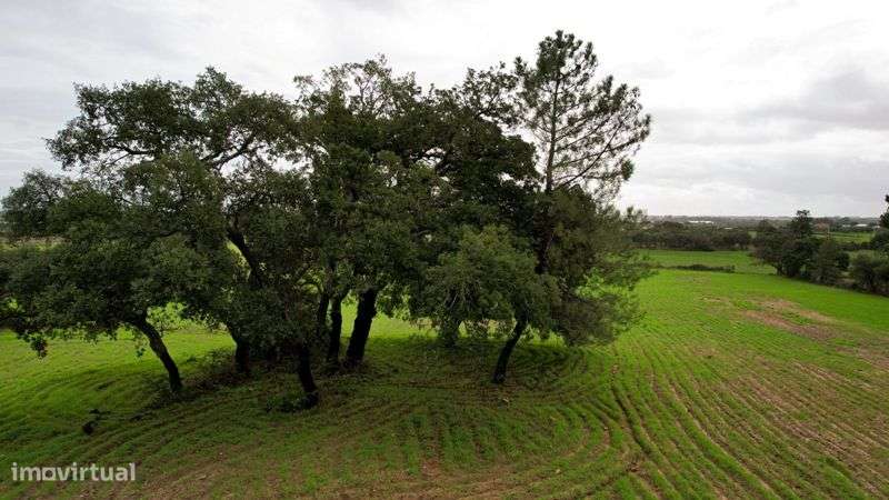 Terreno - Grande imagem: 4/7