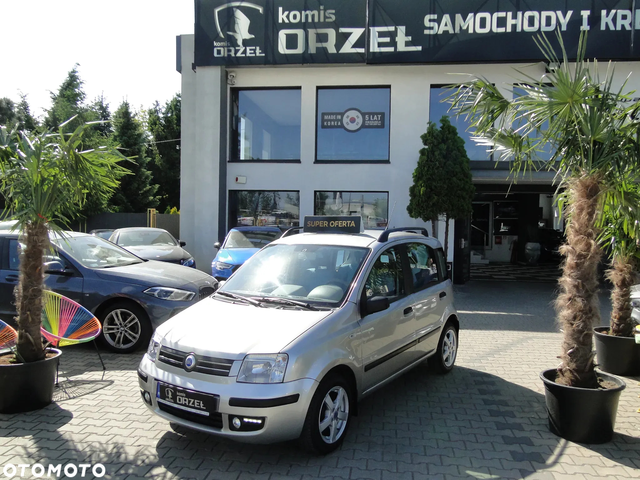 Fiat Panda 1.2 Dynamic Plus - 32