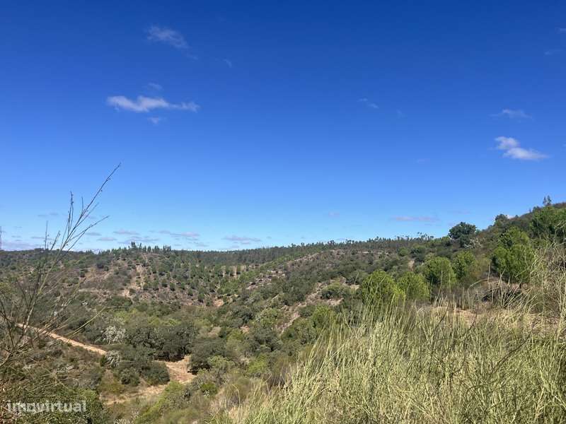 Herdade com 48ha de Natureza c/ Ruína de 53 m² – Ideal Projetos Rurais-19