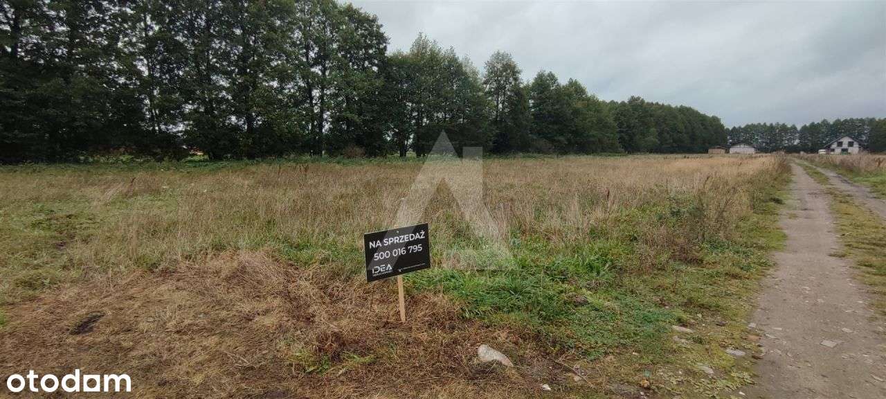 Działki z Mpzp w Małe Rudy. - Pełny obrazek: 5/6