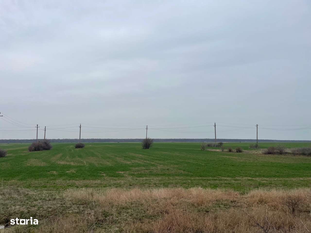 Giurgiu-Bolintin-Marsa 8.5 HA-1