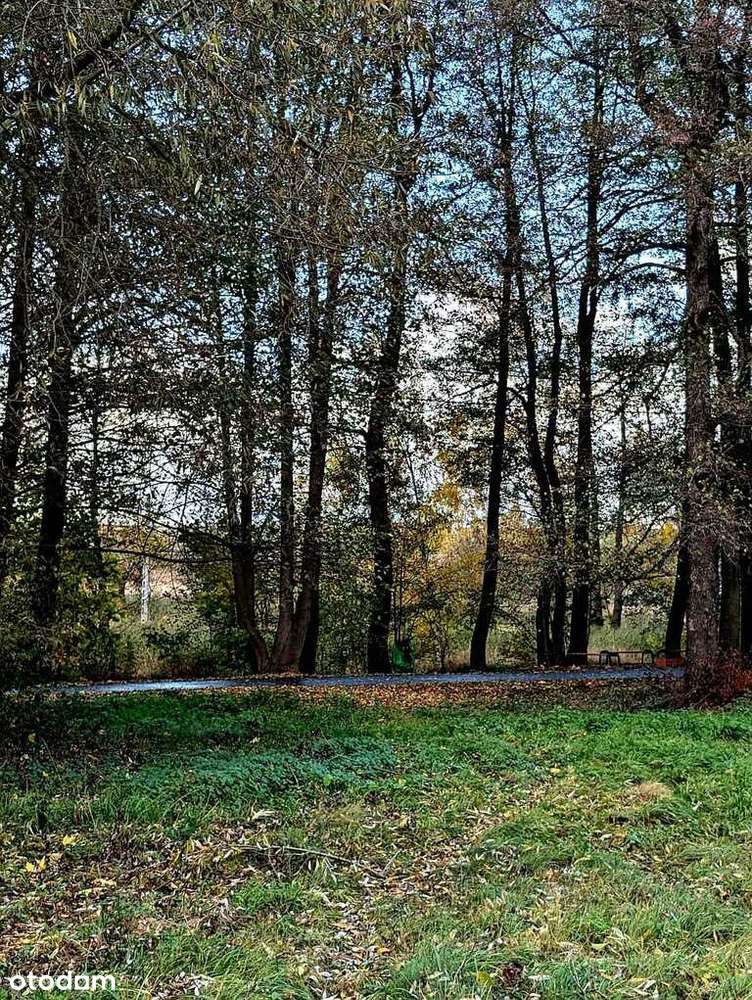 Zaciszna działka w Starym Wielisławiu-4