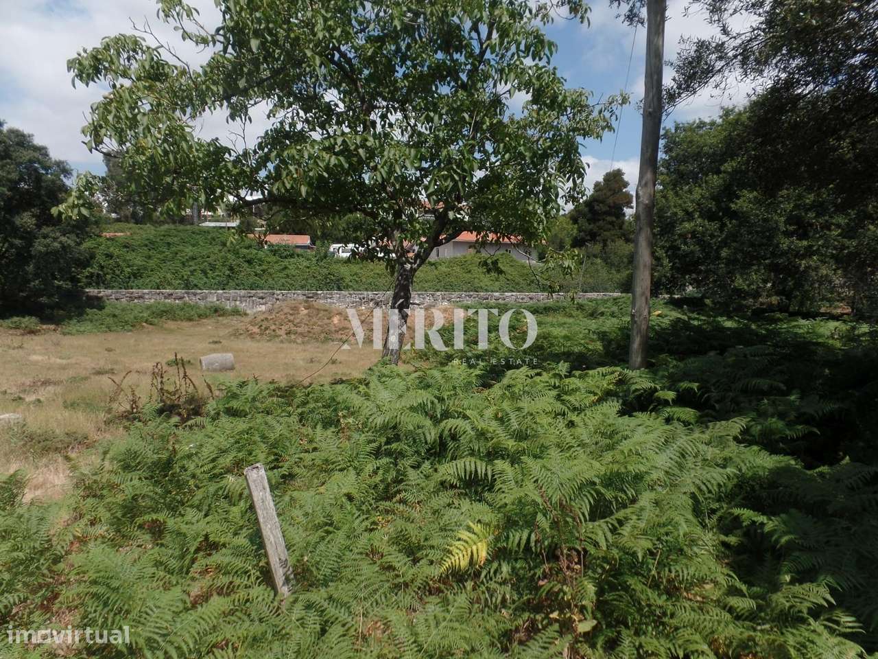 Terreno em Esmeriz, com casa em ruínas para reabilitação / ampliação o - Grande imagem: 4/10