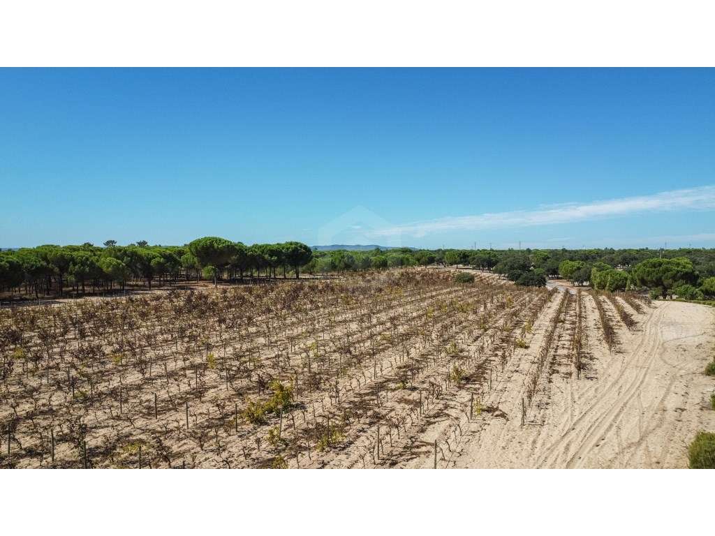 Luxuosa propriedade entre Grândola e Comporta, com 24 hectares-42