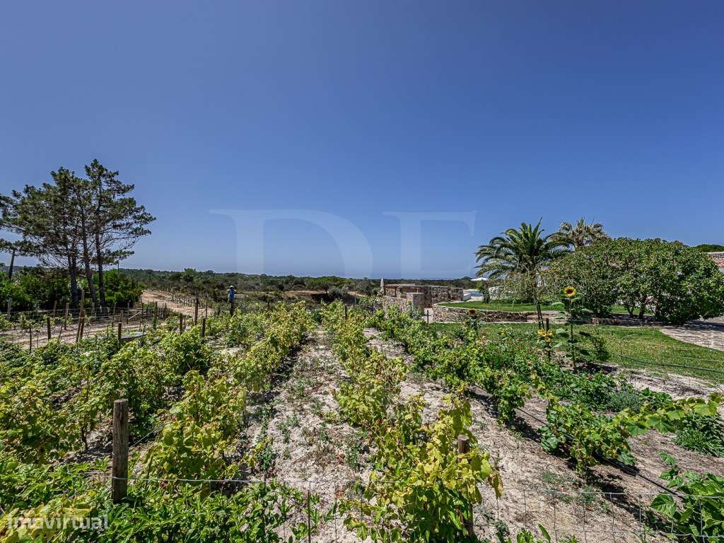 Ocean Farm - Propriedade única na Costa Vicentina a 350 metros do o...-38