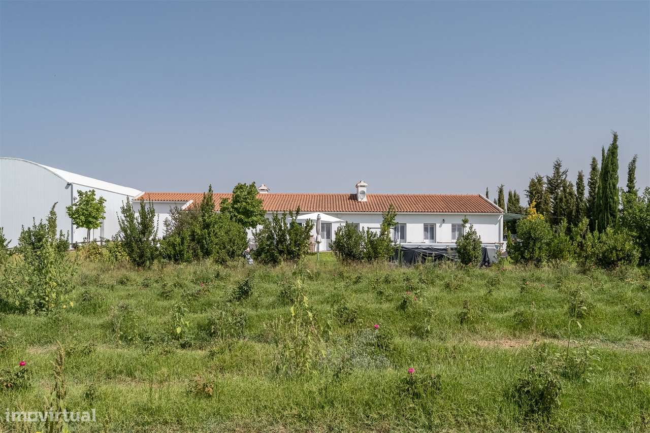 Quinta Biológica - Monte de Palma em Sao Manços com negócio.-38