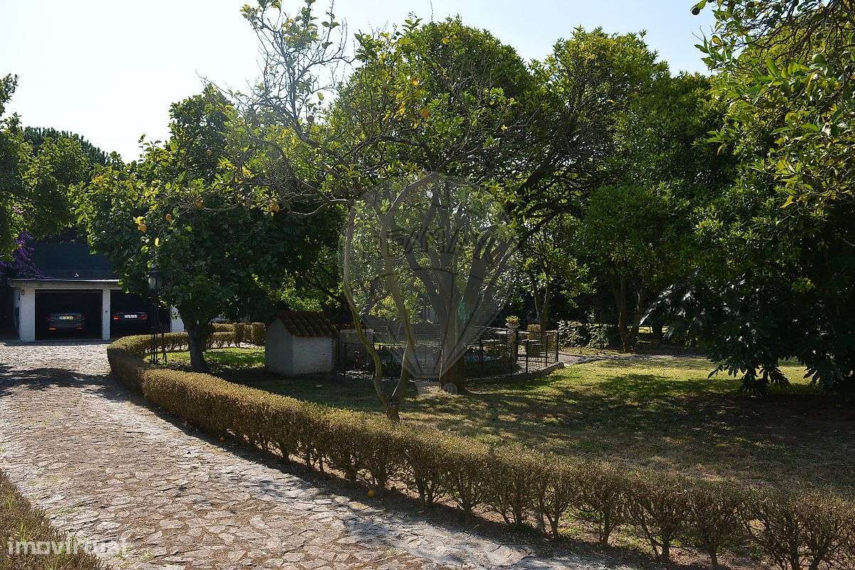 Quinta T5 para venda-6