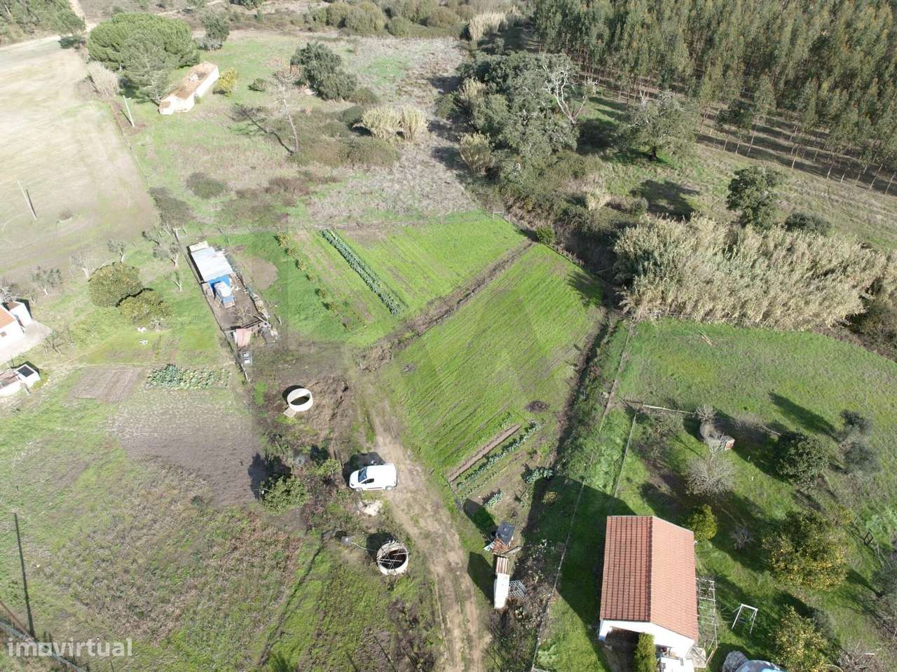 Terreno Rústico com 3.000 m2 em Vale de Água – Santiago do Cacém - Grande imagem: 4/9