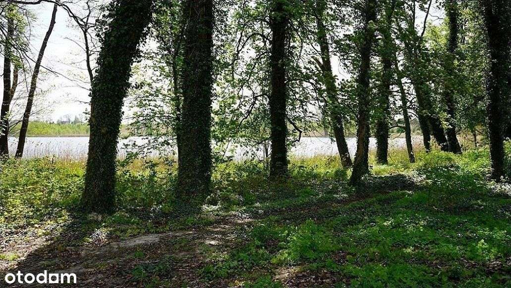 ok.Chrzypsko Wlk.764m2;809m2 lub 1203m2-10