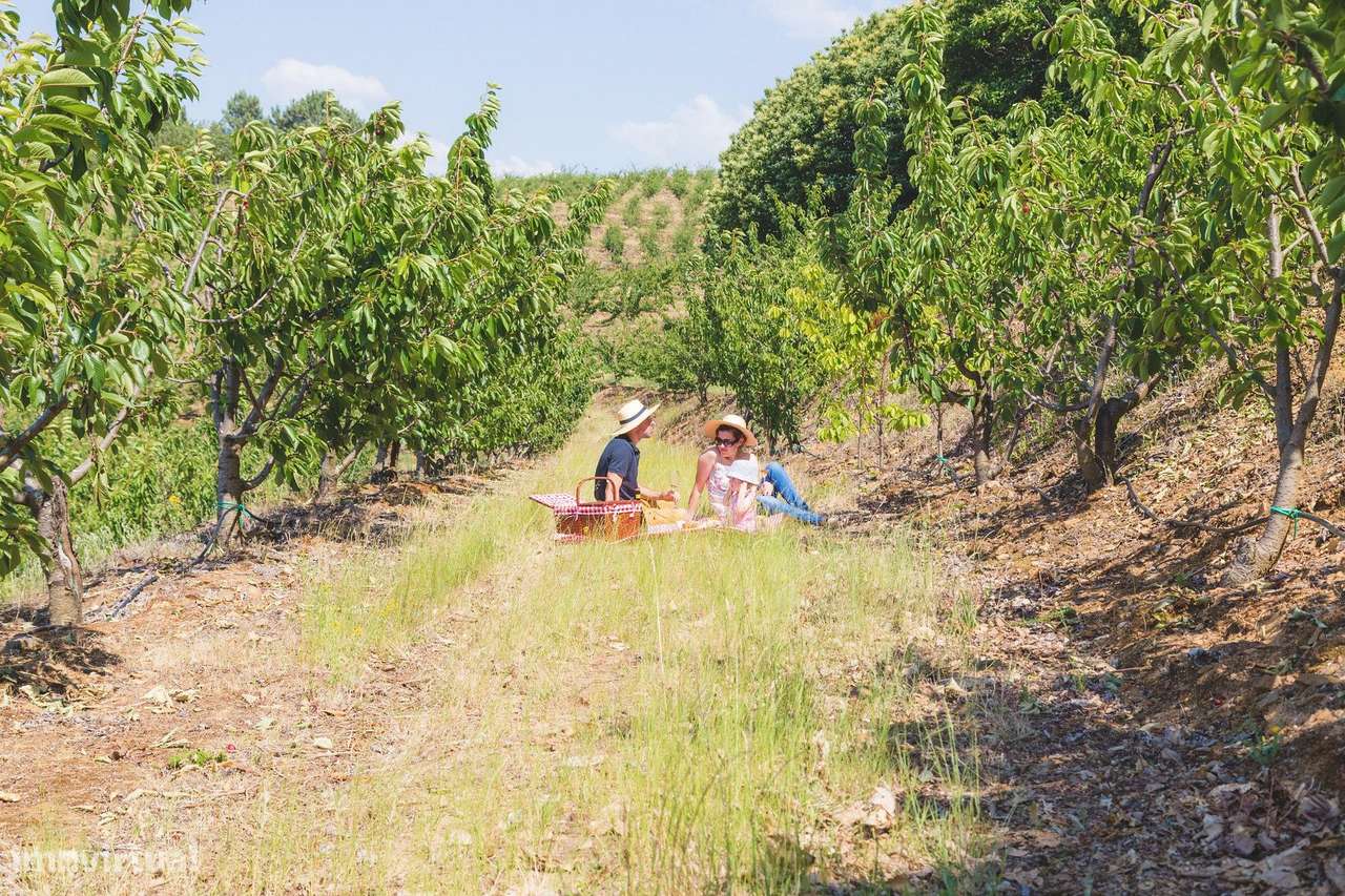 Terreno único com 21.500 m² Zona Vinhateira - Projeto Turístico-40