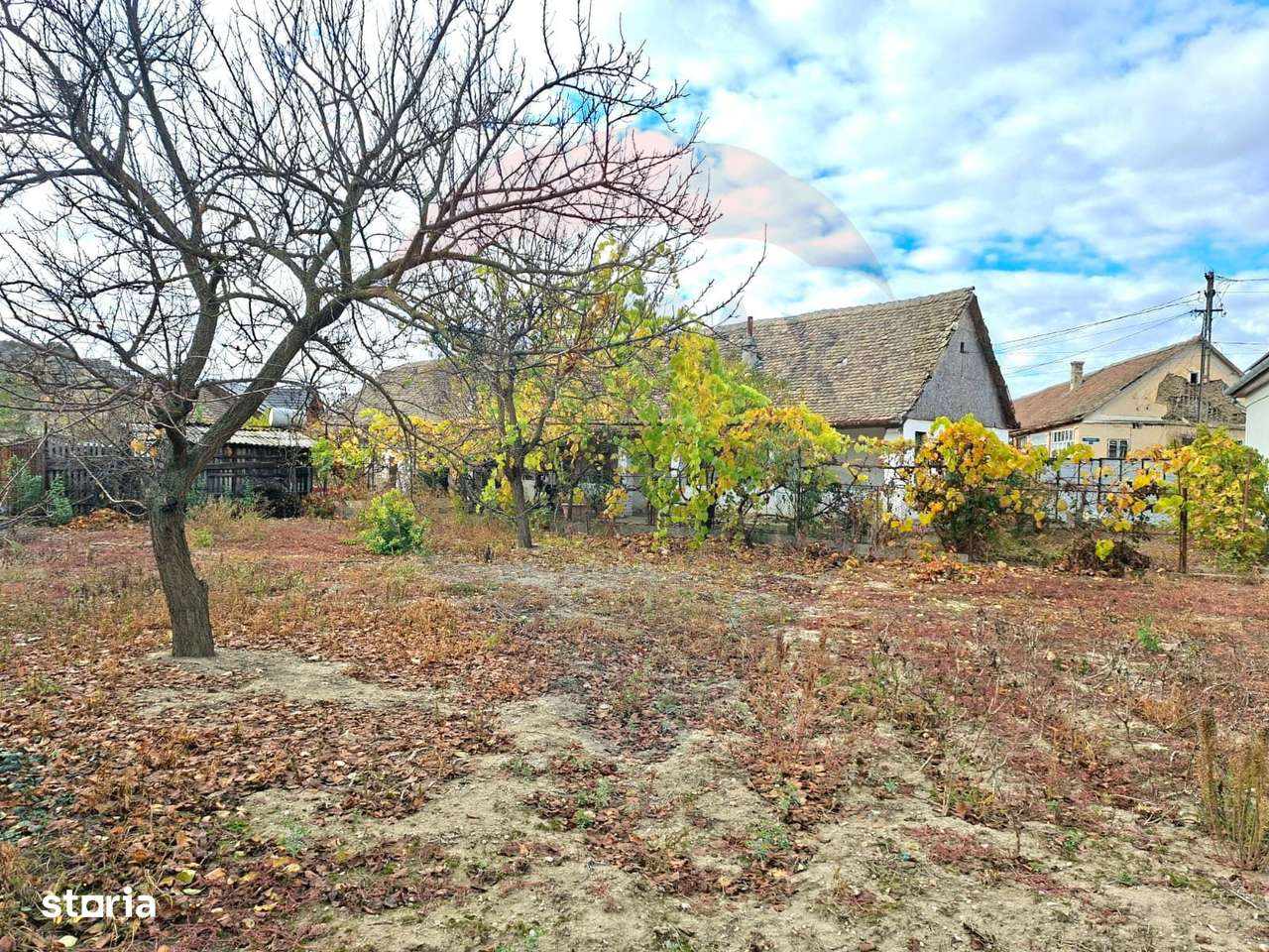 Casa veche cu teren 929 mp- oportunitate in Vladimirescu- comision 0%-5