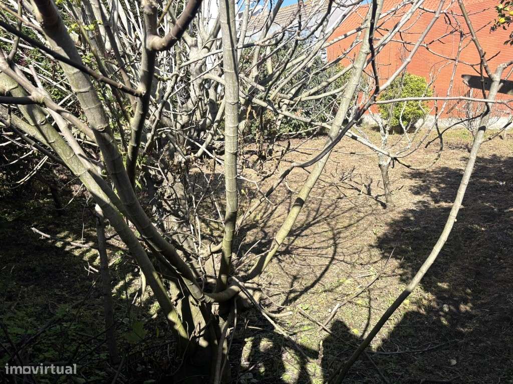 MORADIA PARA RECONSTRUÇÃO - GRANDE POTENCIAL DE VALORIZAÇÃO

Rua ...-6