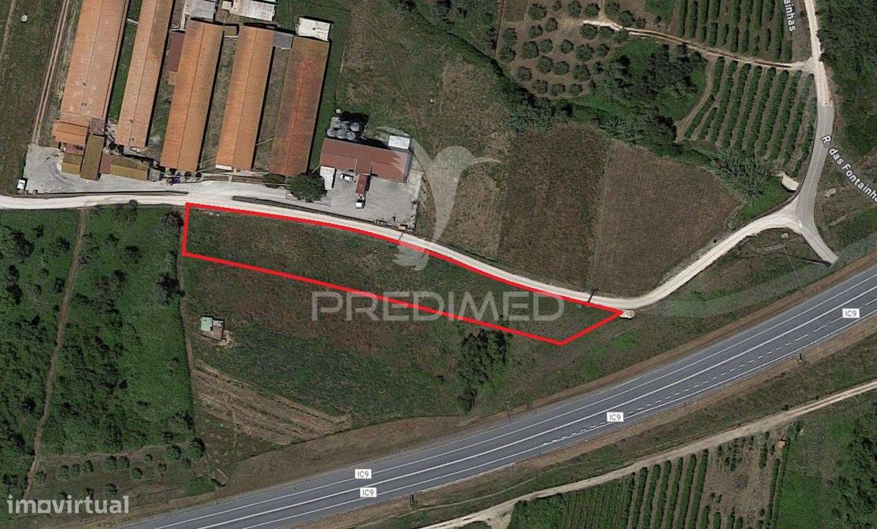 Terreno Rustico - Ribeira de Baixo, Porto de Mós - Grande imagem: 4/4