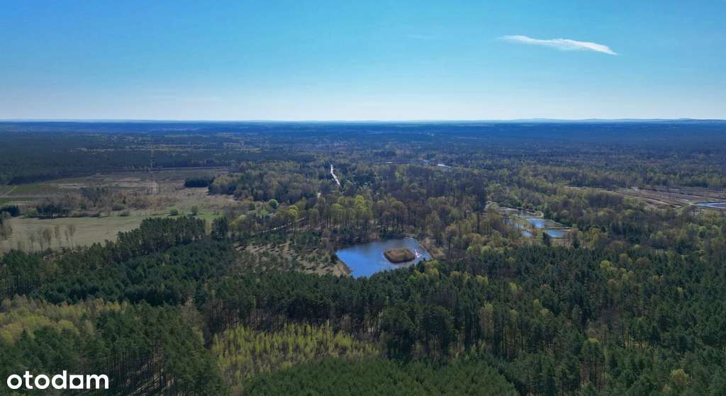Działki o pow. 19,5ha z możliwością zabudowy - Pełny obrazek: 3/6