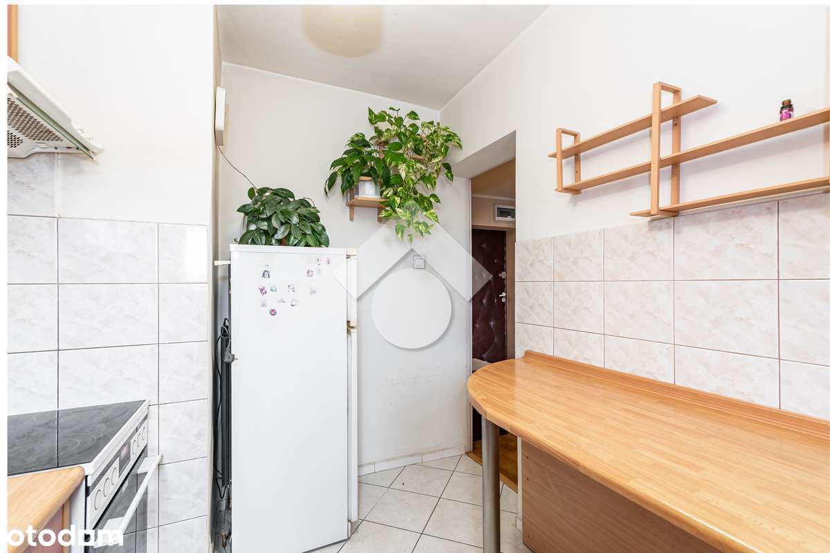 Jasne 2-pokojowe mieszkanie z loggią i osobną kuchnią-5