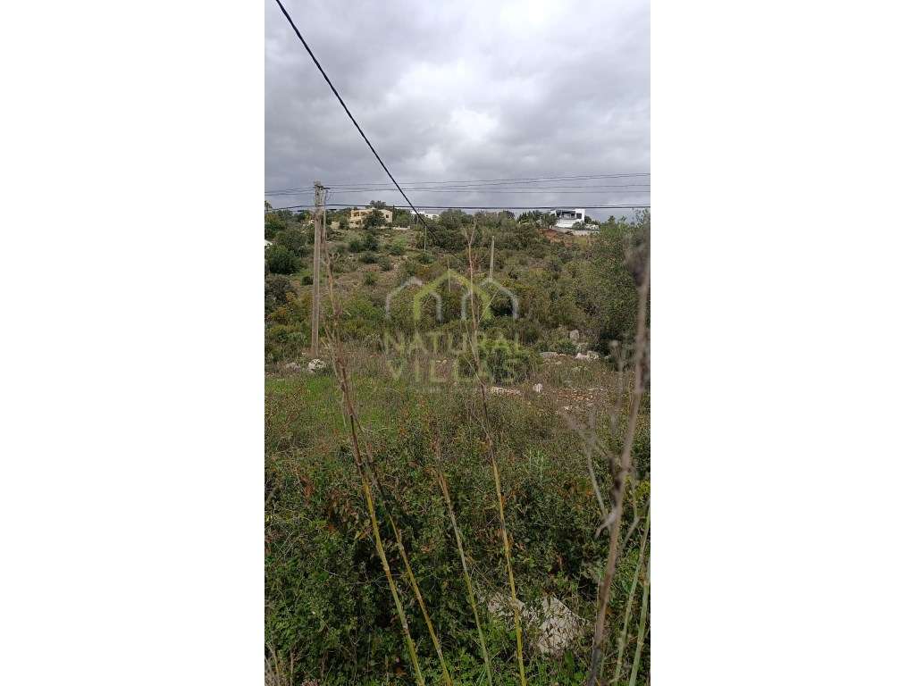 Terreno Rústico em Gorjões, Santa Bárbara de Nexe - Grande imagem: 3/4
